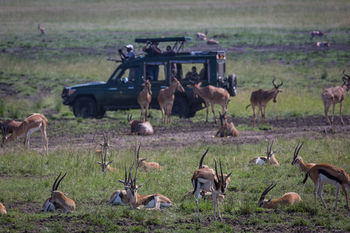 Elewana Sand River Masai Mara Hotel มาไซมารา ภายนอก รูปภาพ